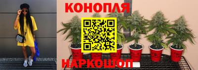 хмурый Ачхой-Мартан