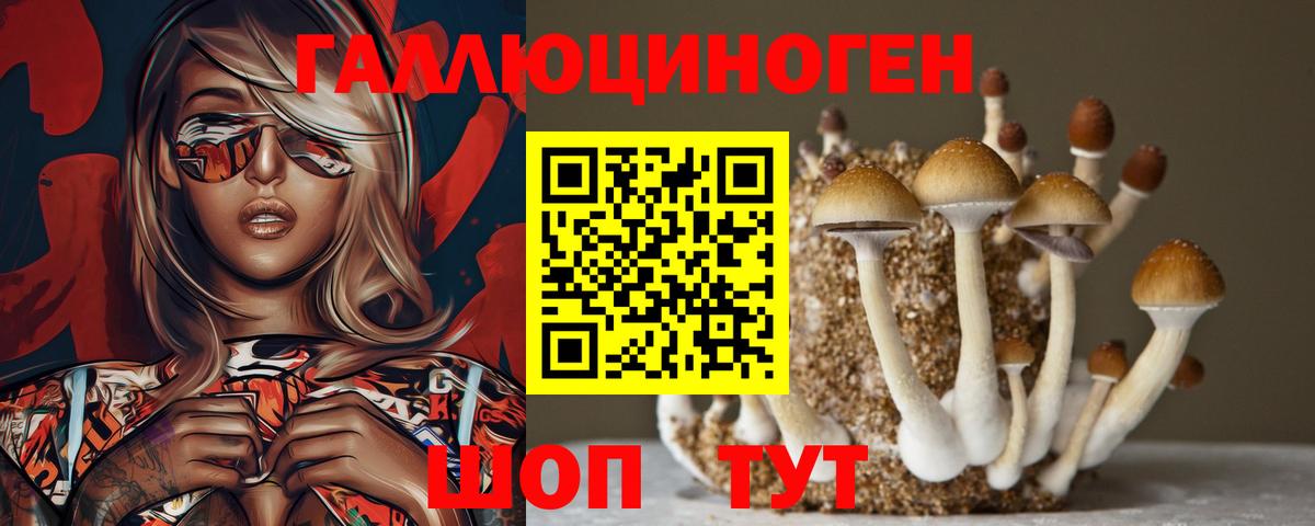 Псилоцибиновые грибы прущие грибы Бердск