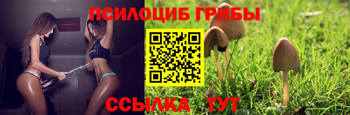 Бердск  Псилоцибиновые грибы Magic Shrooms  Псилоцибиновые грибы Psilocybine cubensis  Вход с VPN 