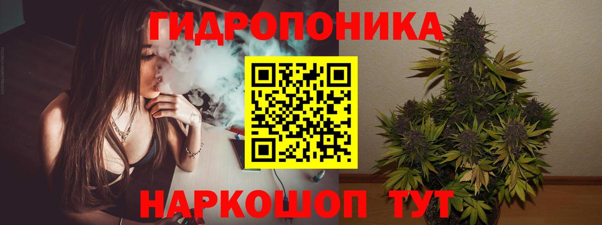 Канабис Amnesia  Канабис гибрид  Бердск  Вход с VPN  Бошки Шишки семена 